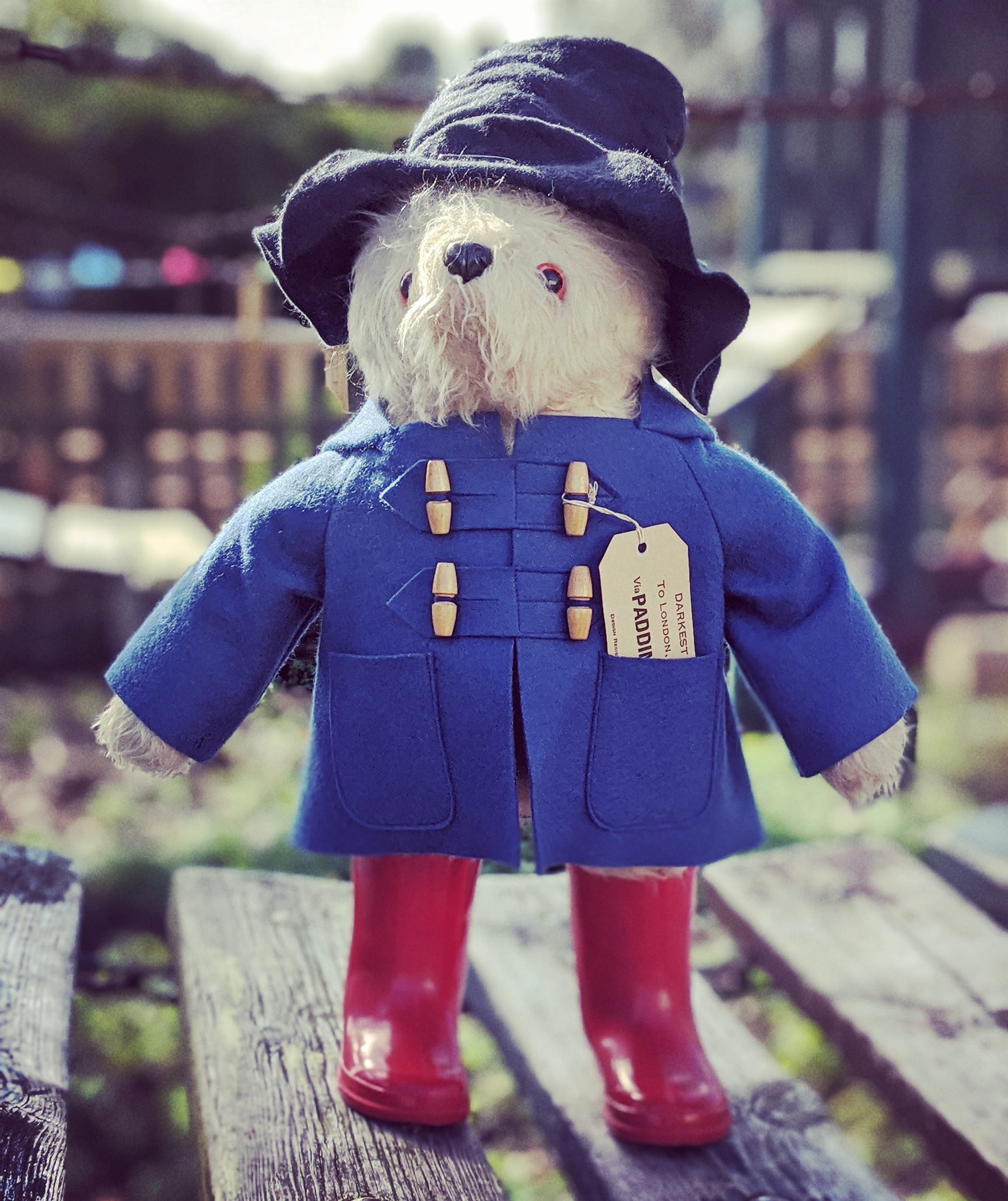 paddington bear toy target