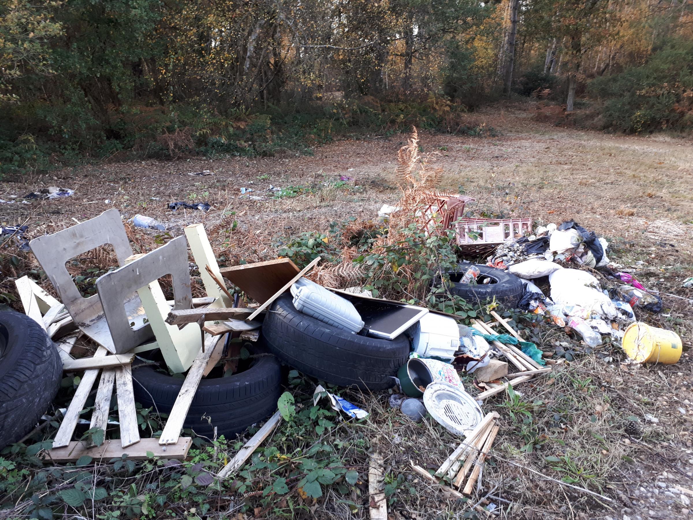 Fly-tipping at Lynn Common, Briddlesford Woods. Credit: PTES.